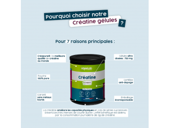 creatine creapure gélules