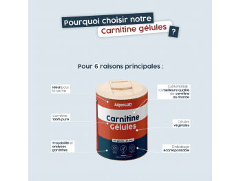 L-Carnitine CARNIPURE® gélules