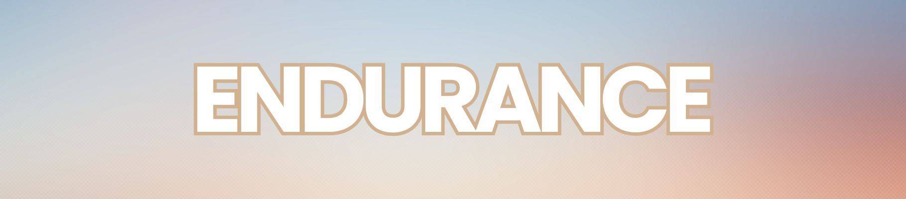 Endurance